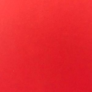 Meet your Posher, Paige